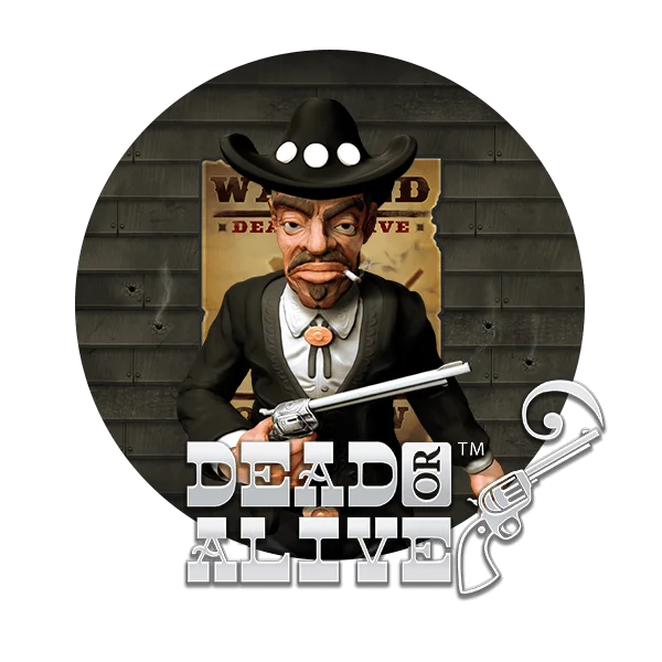 Dead or Alive 2 at Spin Dragons Casino
